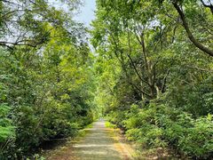 -上海海湾国家森林公园