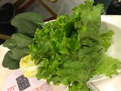 -食潮汕头鲜牛馆(望京保利店)