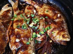 -食家鸽园