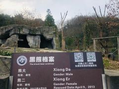 -都江堰中华大熊猫苑
