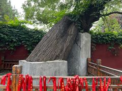 -天宁寺
