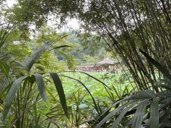 -龙头寺公园