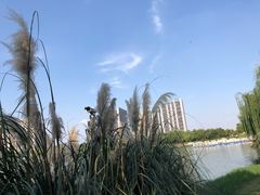 -南翔镇银翔湖公园