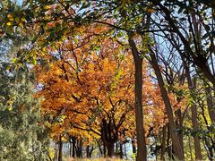 -元大都城垣遗址公园