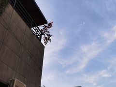 -半坡国际艺术区