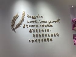 -KS科逆美肤祛痘