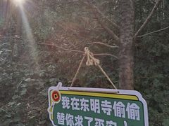 -东明山森林公园