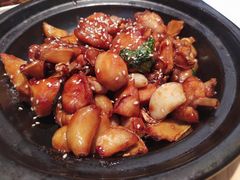 -玉玲珑(陆家嘴店)