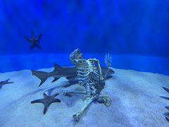 -太平洋海底世界