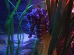 -沈阳海洋探索中心