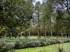 -渌洋湖湿地公园