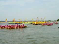 -溱湖国家湿地公园