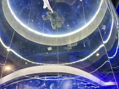-飞行家太空体验馆(祥云小镇店)