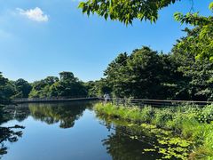 -济州森林小火车生态公园