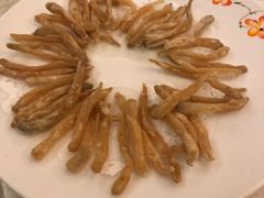 -外沙疍家棚酒楼