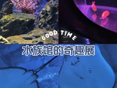 -海合安天津极地海洋公园