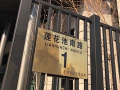 -北京云瑧金陵莲花酒店·莲·川小馆