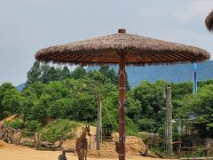 -杭州野生动物世界