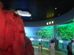-福州罗源湾海洋世界旅游区