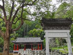 -深圳国际园林花卉博览园