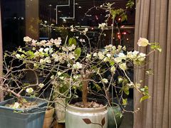 -小芙蓉湘菜馆(易生活购物公园店)