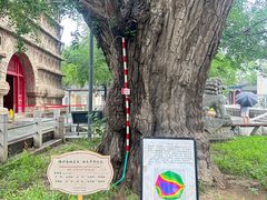 -北京石刻艺术博物馆(五塔寺)