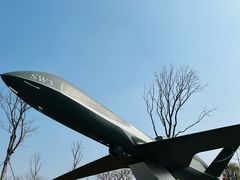 -成飞公园