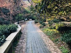 -雨花胜境