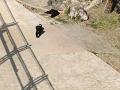 -石家庄市动物园