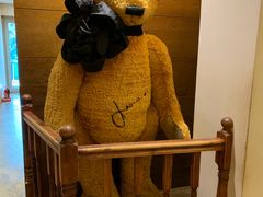 -济州岛泰迪熊博物馆