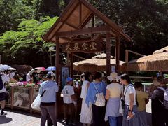 -野象谷景区