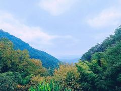 -韬光茶庵