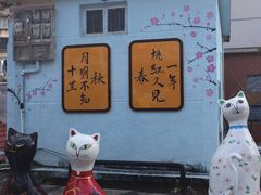 -猫咪博物馆(顶澳仔猫街店)