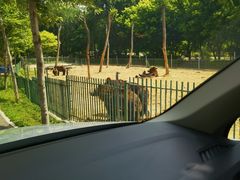-秦皇岛野生动物园