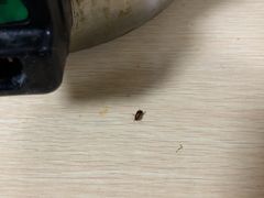 -顺心拉面馆(马道街店)
