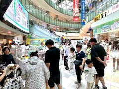-鹏欣水游城