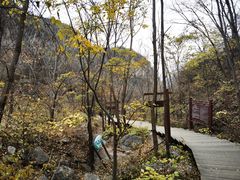 -大岭沟猕猴桃谷风景区