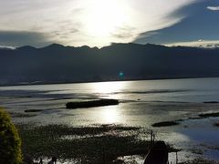 -野菌皇海景野生菌火锅(滨海大道店)
