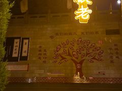 -大槐树寻根祭祖园