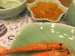-海桐