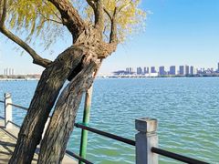-无锡蠡湖国家湿地公园-蠡园