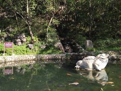 -大连天门山国家森林公园