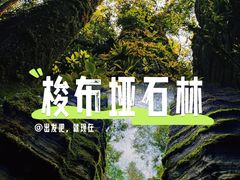 -梭布垭石林景区