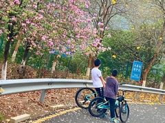 -荔明优客酒店(广州增城挂绿广场店)