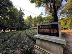 -西湖风景区十里琅珰-五云山