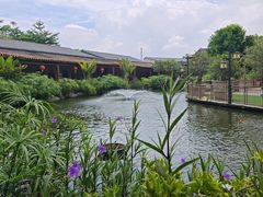 -大门水乡·顺德菜