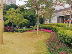 -深圳中洲圣廷苑酒店世纪楼
