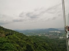 -呀诺达热带雨林