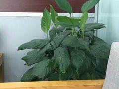 -新达口腔(华东理工大学店)