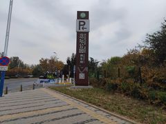 -大兴滨河森林公园